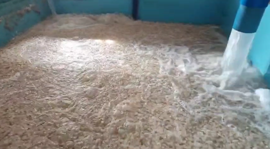 MBBR terpės ir biofilmo proceso sinergija – auksinis derinys nuotekų valymui